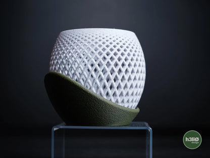 polygon · orchid planter