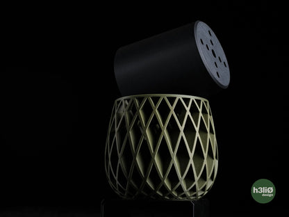 beja • planters