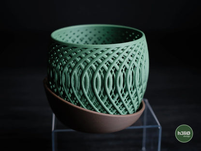 quasar · orchid planter