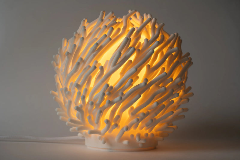 lumira-coral-02