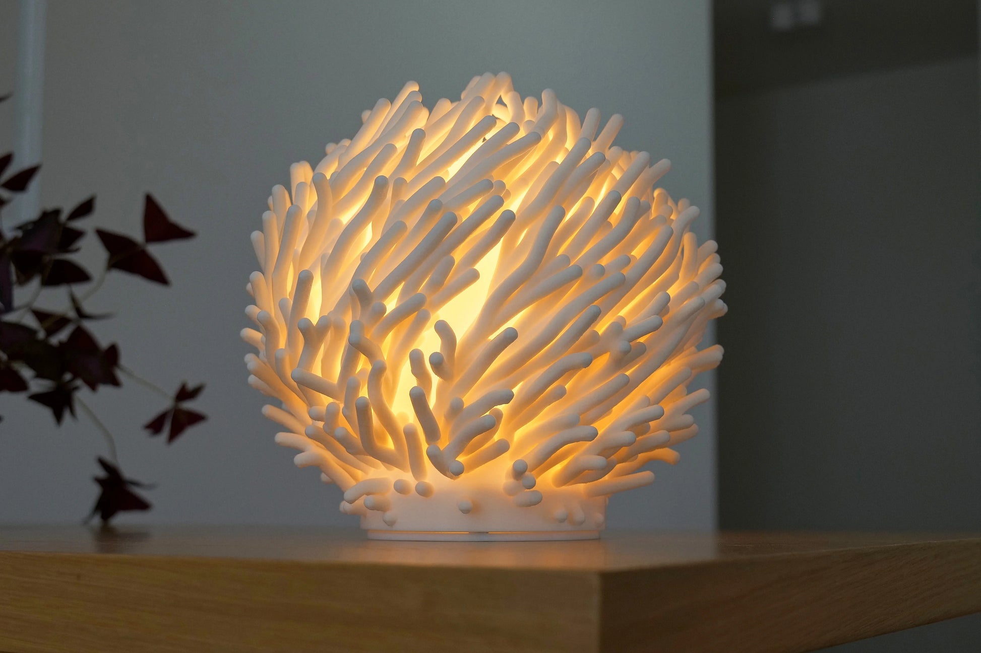 lumira-coral-04