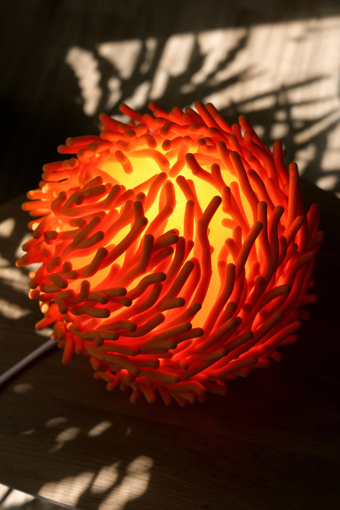lumira-coral-05