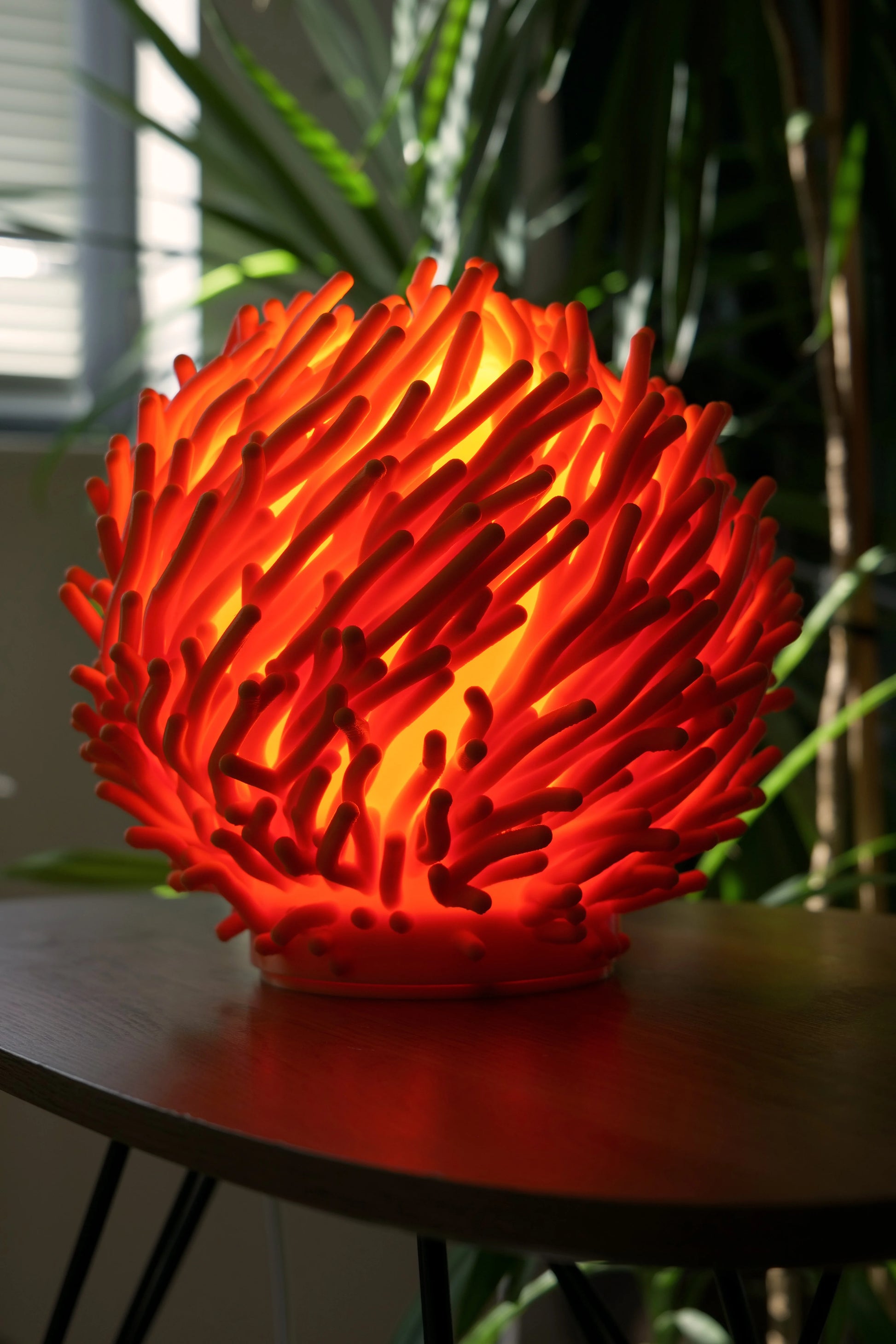 lumira-coral-06