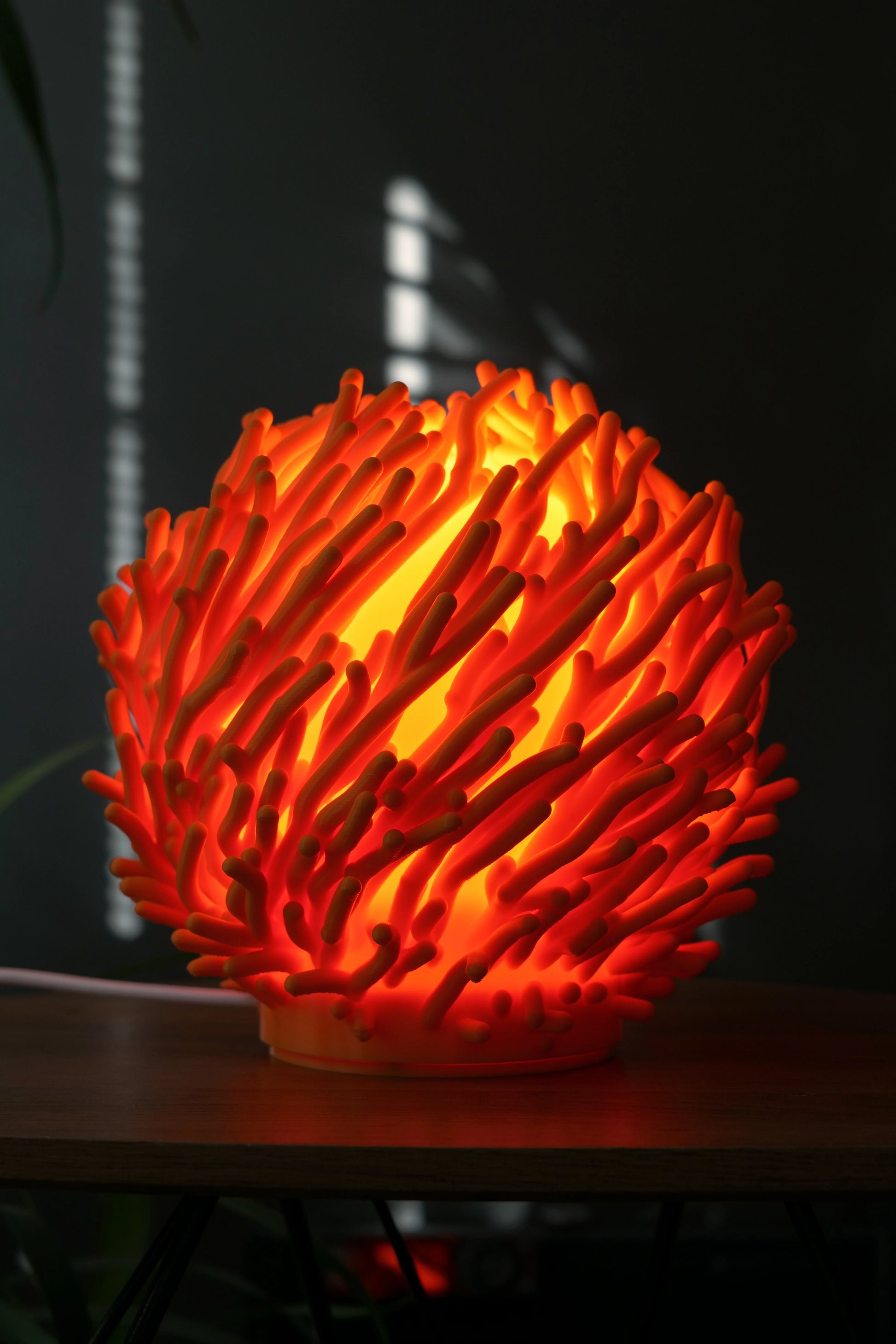 lumira-coral-07