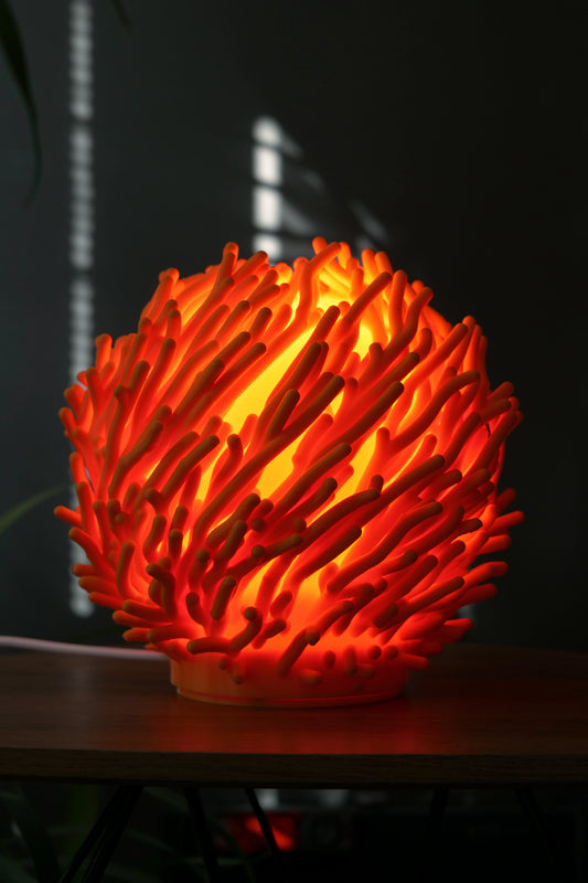 lumira-coral-07